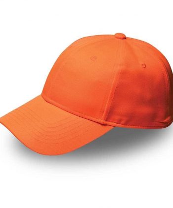 5 PANEL CAPS